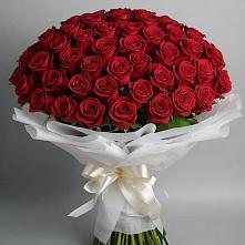 Букет 101 Красная роза Блэк Мэджик в Прямицыно