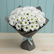 Букет цветов из:  Хризантемы в Прямицыно