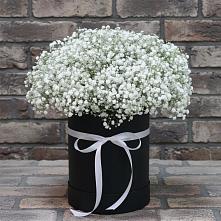 Цветочная композиция из Гипсофила в шляпной коробке в Прямицыно