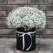 Цветочная композиция из Гипсофила в шляпной коробке в Прямицыно
